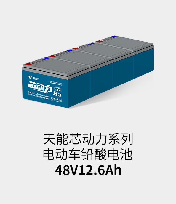 必发电池48v12ah