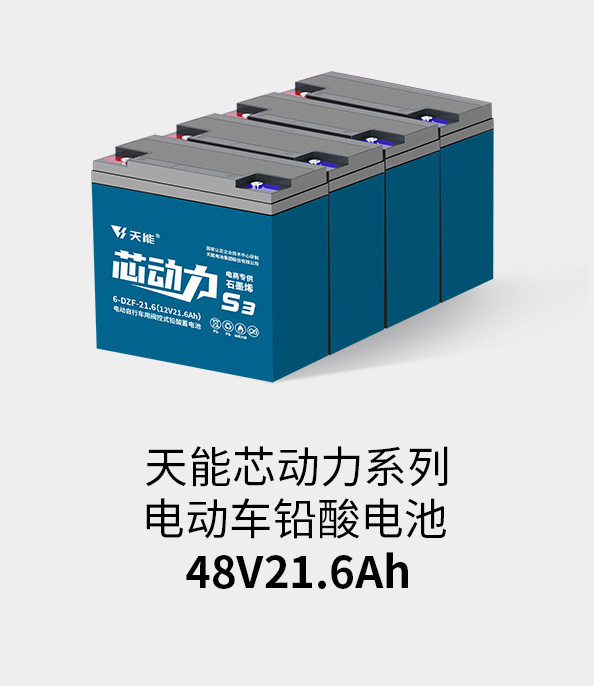 必发电池48v20ah