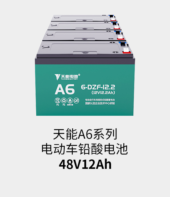 必发电池48v12ah