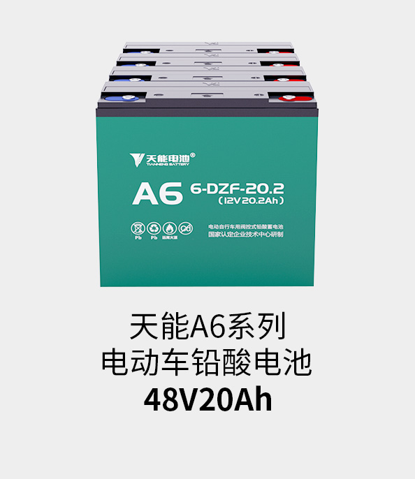 必发电池48v20ah