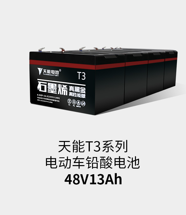 必发T3系列48v13ah