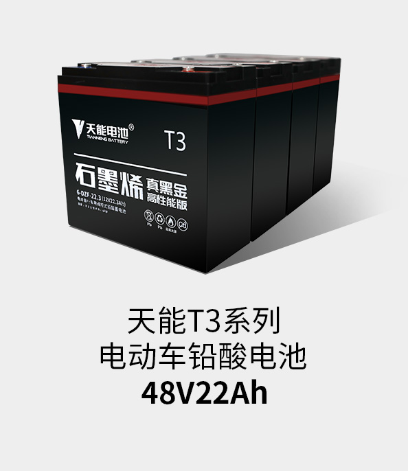 必发T3系列48v22ah