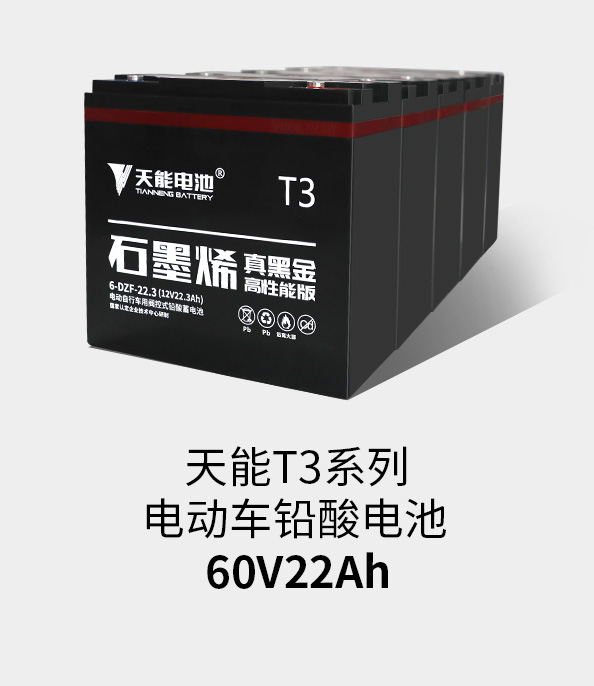 必发T3系列60v22ah